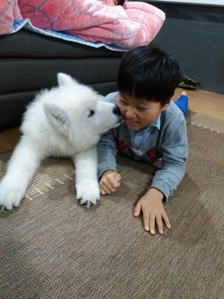 그래채 이미지