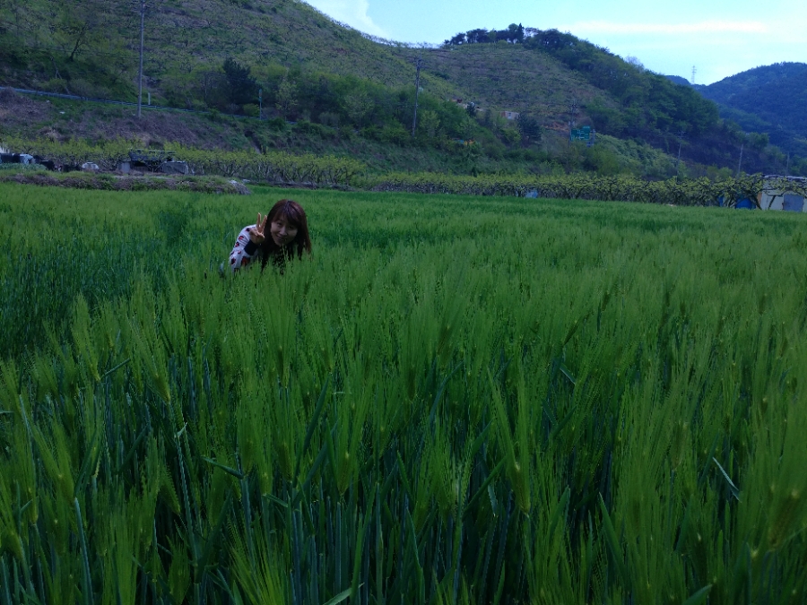 서포비치펜션 이미지