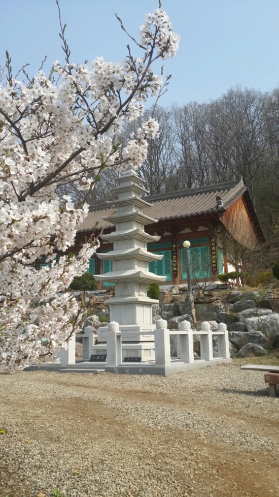 대화사 이미지