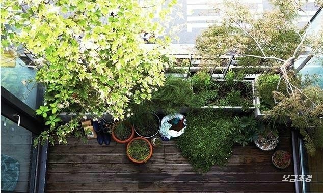보금조경 이미지