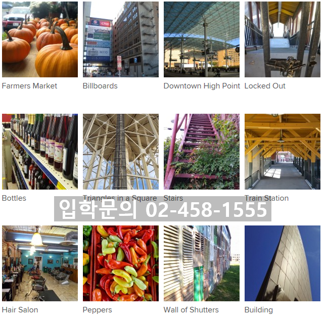 노스포인트주 이미지