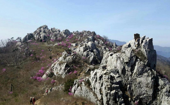 녹림 이미지