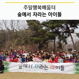 숲에서자라는아이들 이미지