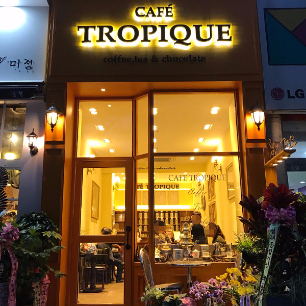 트로피크 이미지