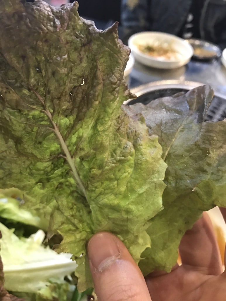 영농참숯뒷고기 이미지