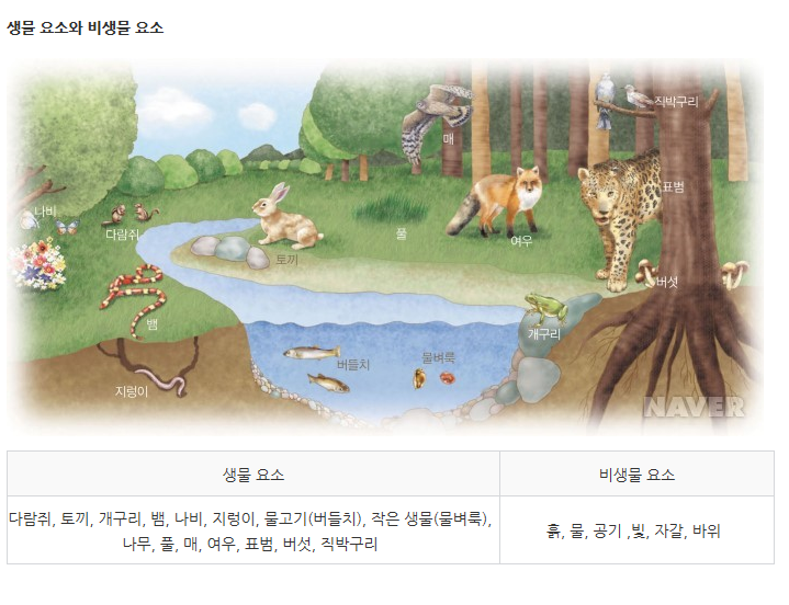 초등과학 교과서 6-1 요점정리 생물과 환경 생태계 : 네이버 블로그