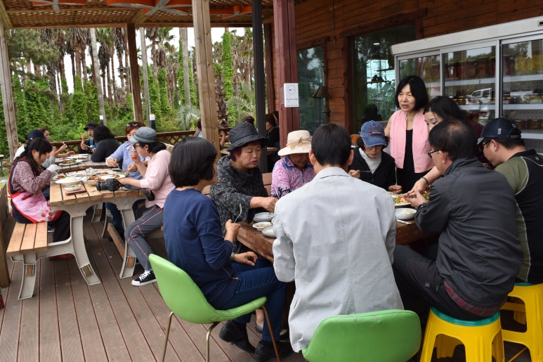 사회적협동조합제주로 이미지
