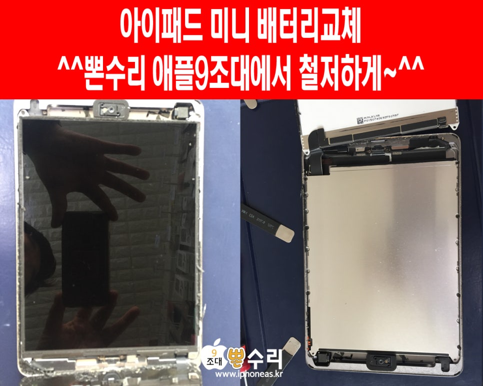뽄수리 이미지