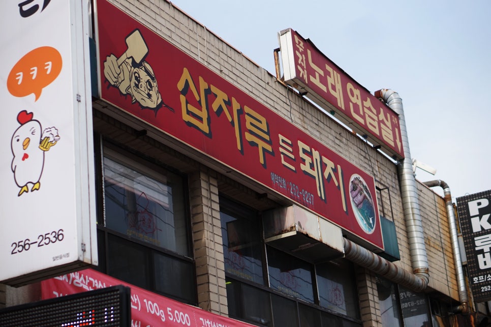 삽자루든돼지 이미지