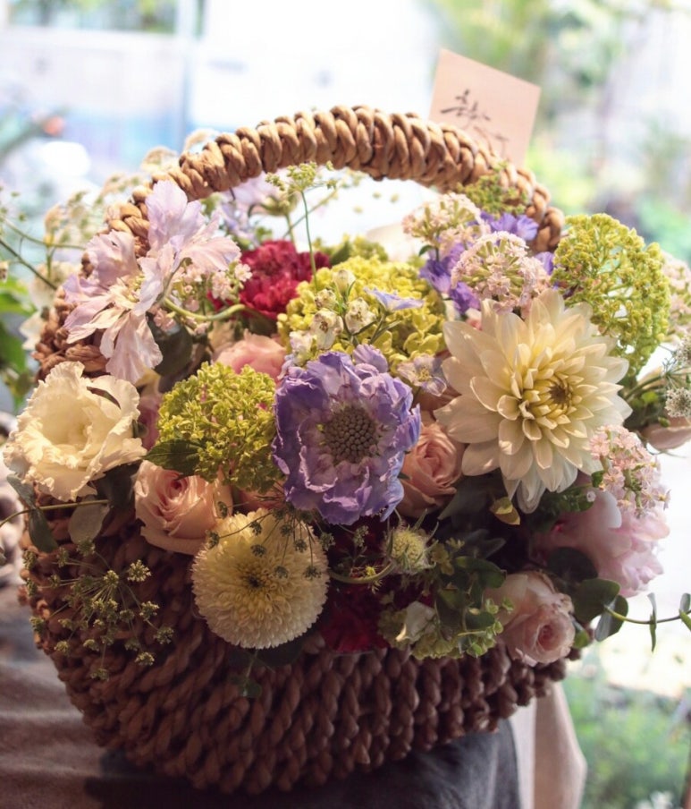 Flower늘봄 이미지