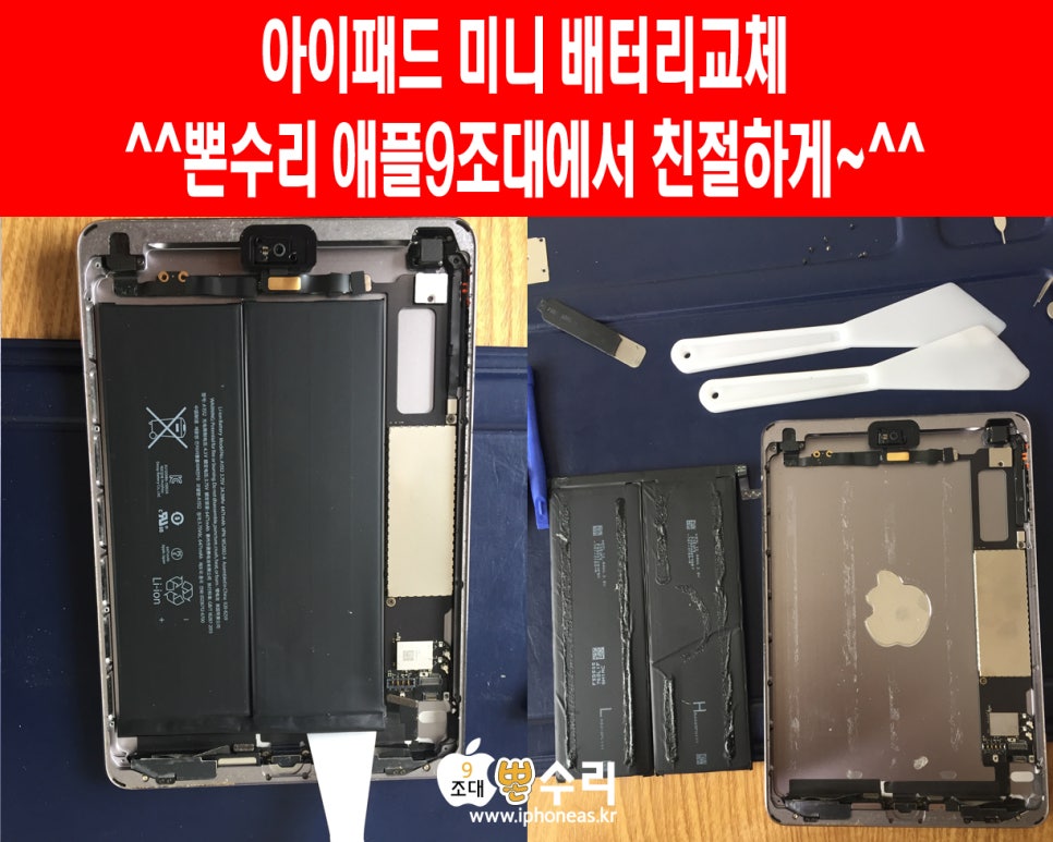 뽄수리 이미지