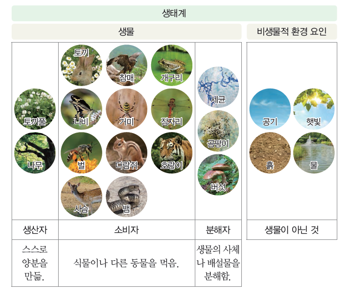 초등과학 교과서 6-1 요점정리 생물과 환경 생태계 : 네이버 블로그