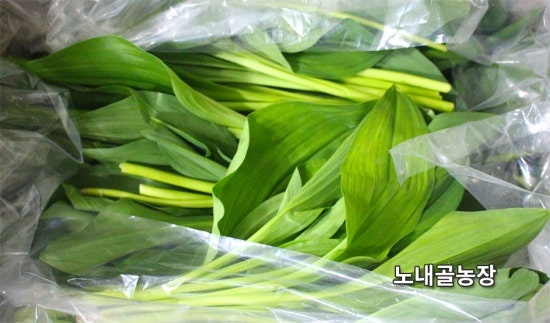 홍천노내골농장 이미지