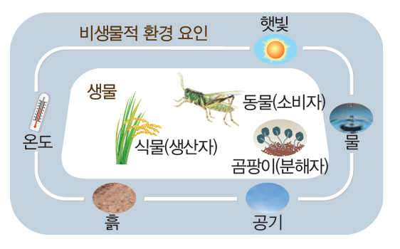 초등과학 교과서 6-1 요점정리 생물과 환경 생태계 : 네이버 블로그