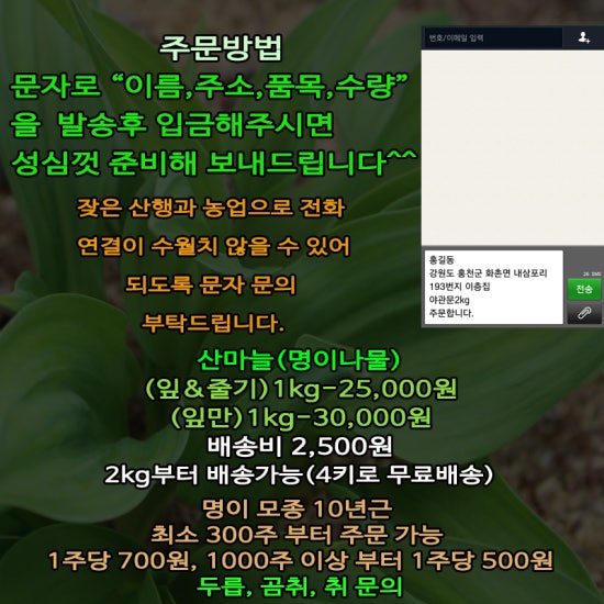 홍천노내골농장 이미지