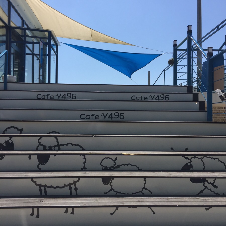 cafe y(카페와이) 이미지