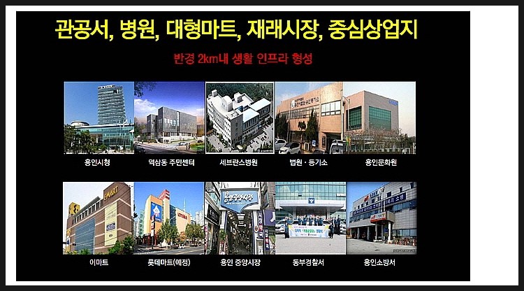 영스카이 이미지