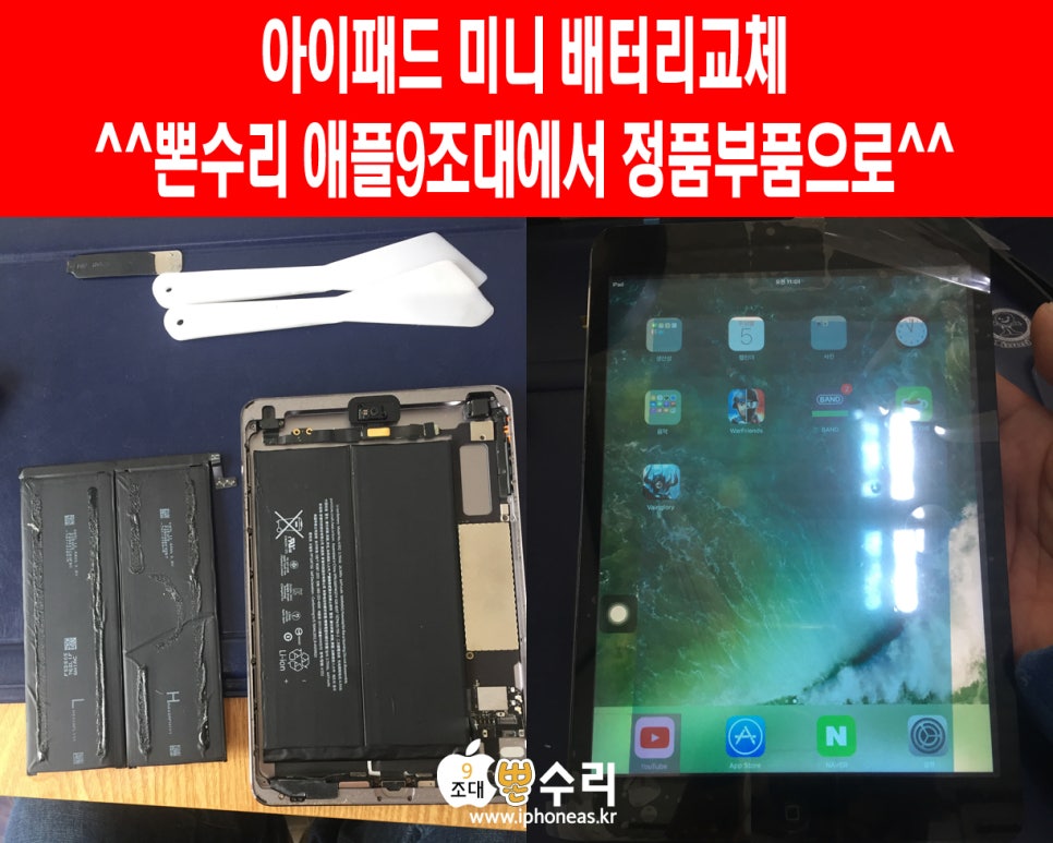 뽄수리 이미지