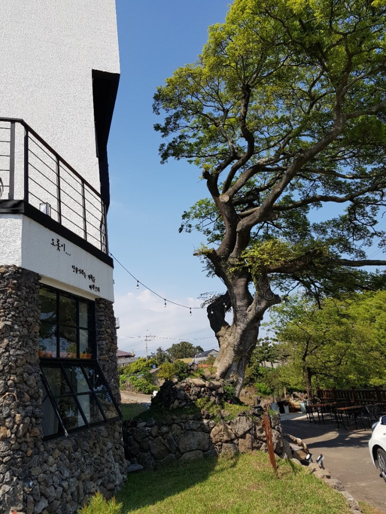 카페바라크라 이미지