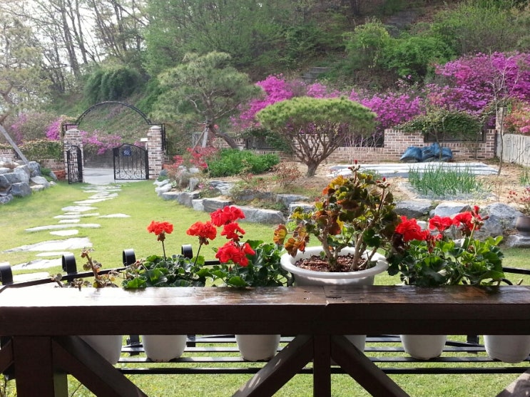 마리의봄날 이미지