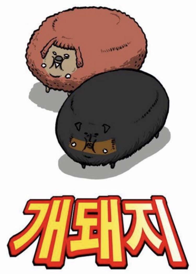 투마리치킨 이미지
