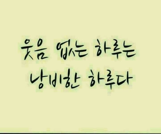 현대라이닝 이미지