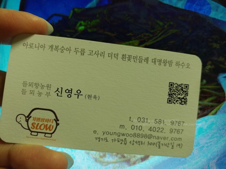 들뫼향 이미지