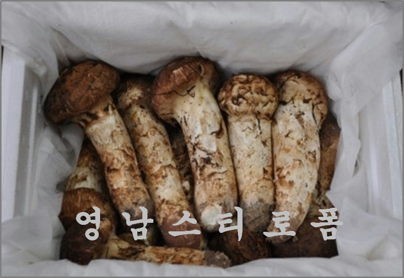 영남스티로폼 이미지