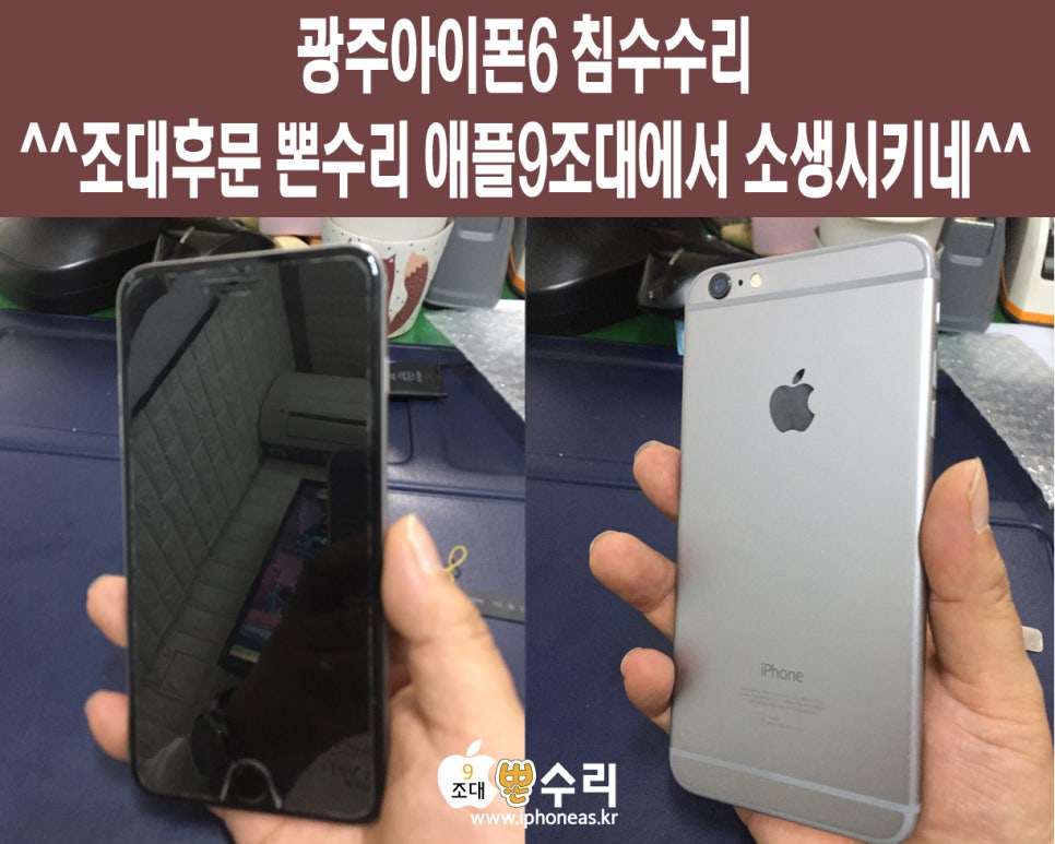 뽄수리 이미지
