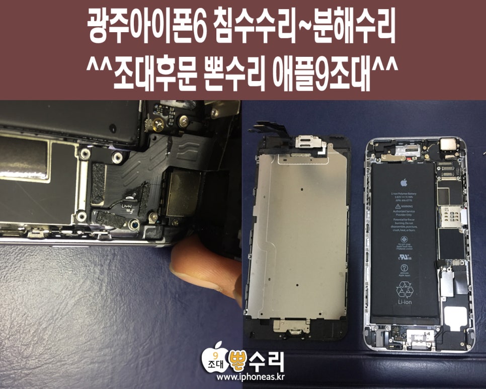 뽄수리 이미지