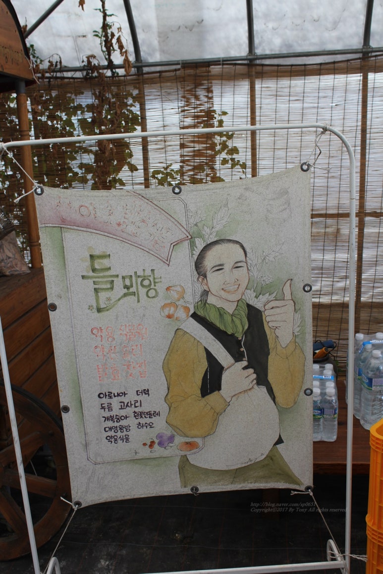 들뫼향 이미지