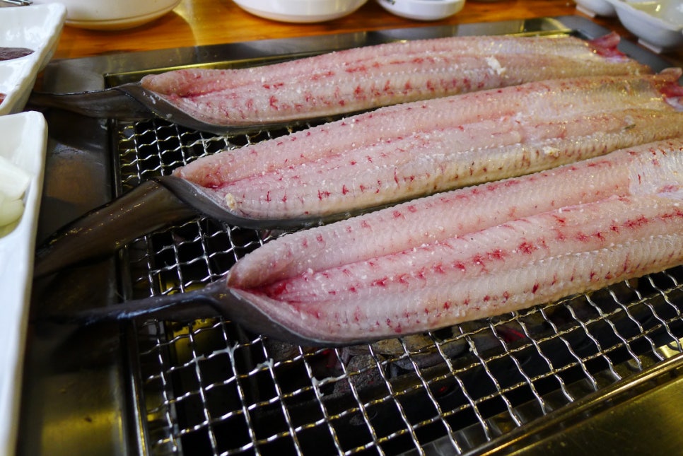 고창풍천민물장어 이미지