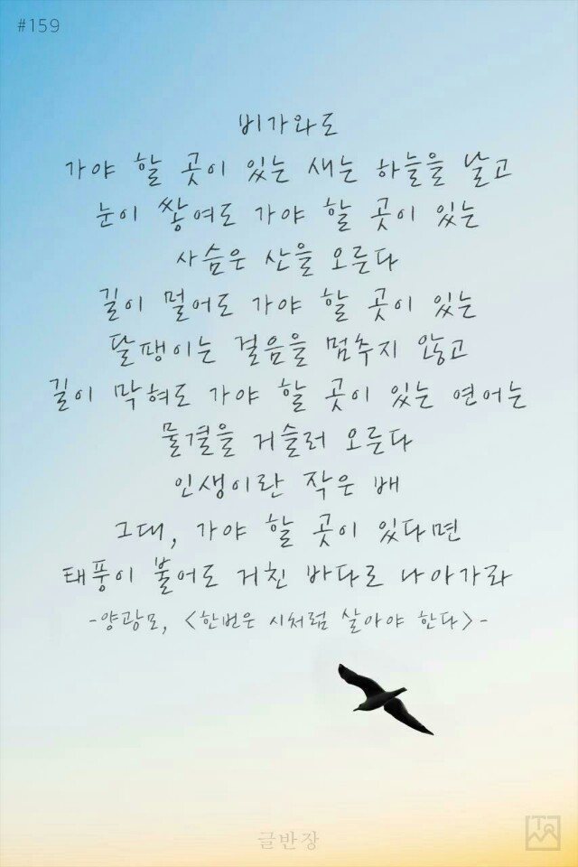 팔팔낙지 이미지