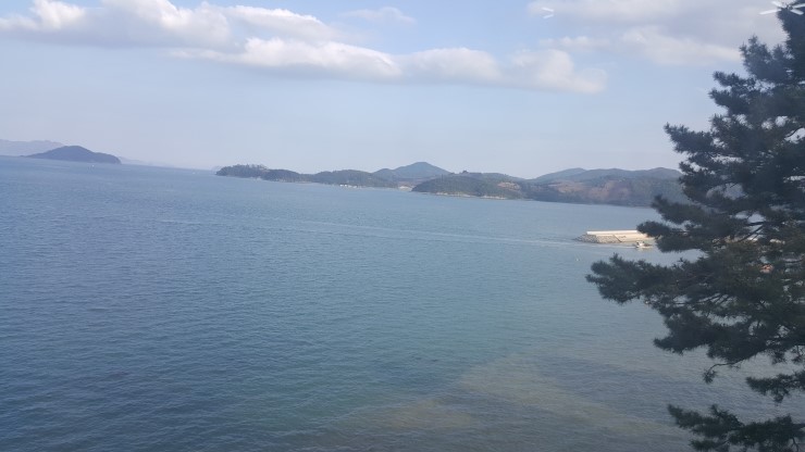 욕심내지않기 바지락칼국수 이미지