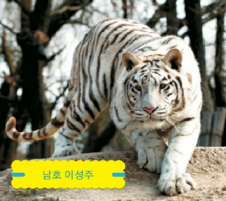 남호컨설팅 이미지