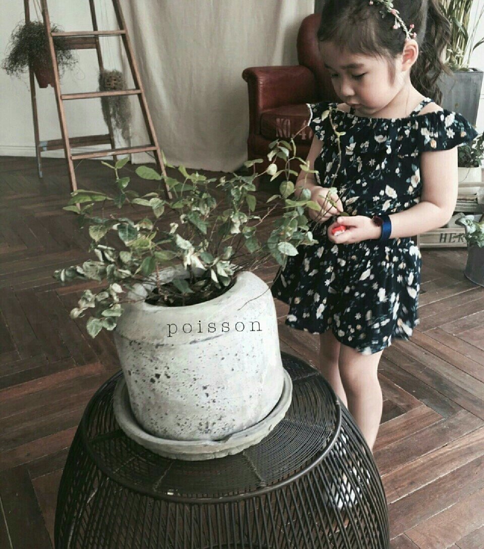 뽀데나 이미지