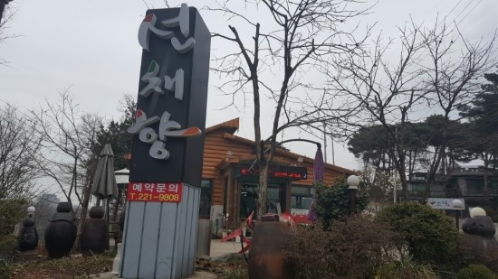 선채향 이미지