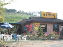 황금오리 이미지