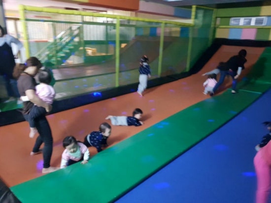 키크는 나무 이미지