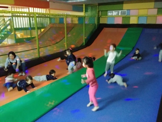 키크는 나무 이미지