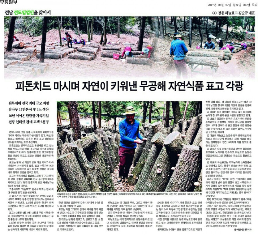 하늘표고버섯 이미지