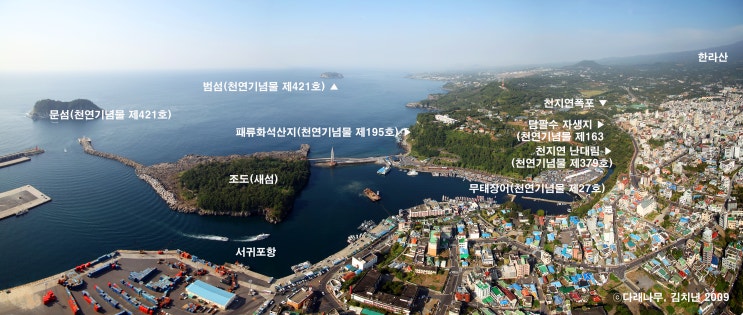 천지연무태장어천지연 이미지