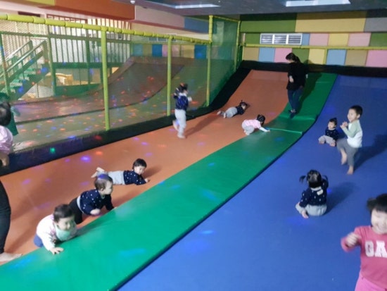 키크는 나무 이미지