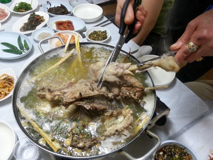 아중가 이미지