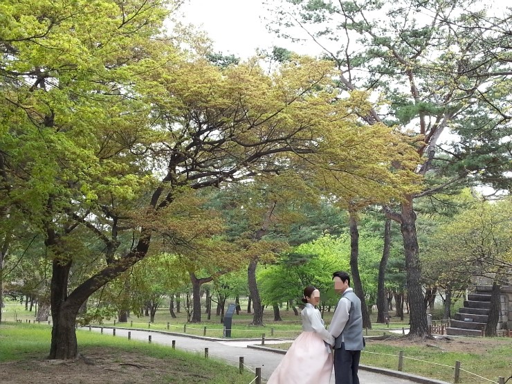 모머니티스냅 이미지