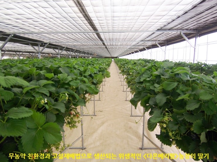 다온농장 이미지