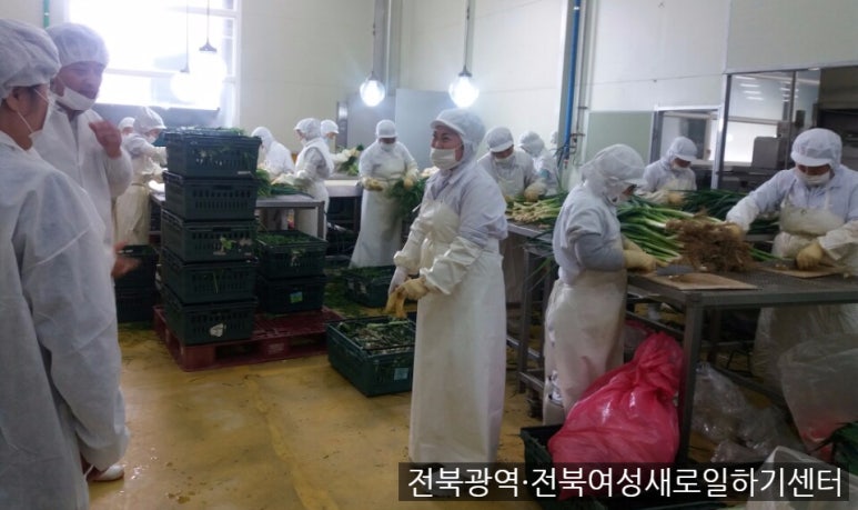 농업회사법인(주)그린피아 이미지