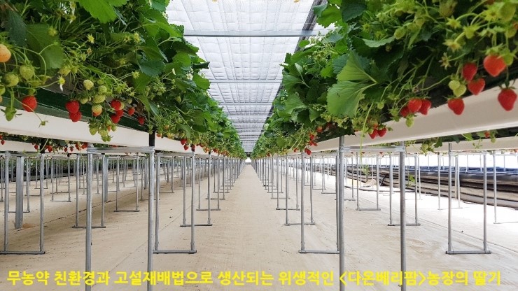다온농장 이미지