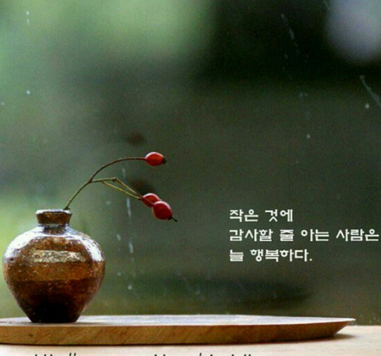 가족사랑펜션 이미지
