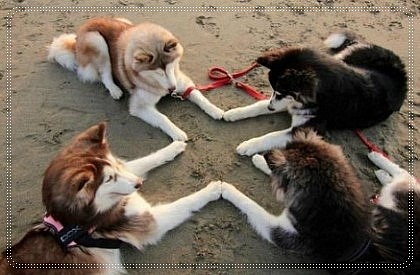 삼성상사 이미지